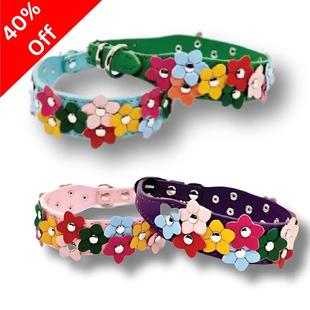 Kudi Pet Collar (Flower Design)