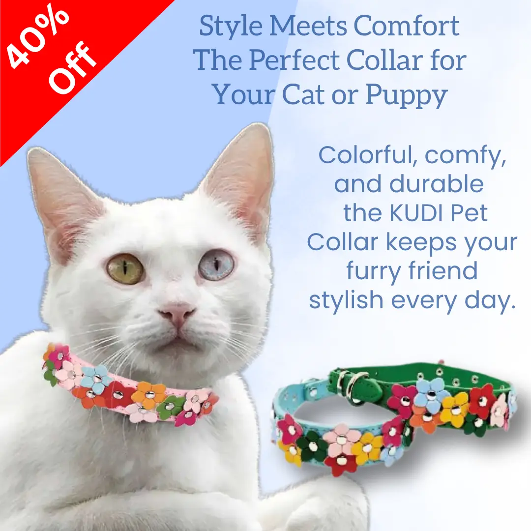 Kudi Pet Collar (Flower Design) - Image 2