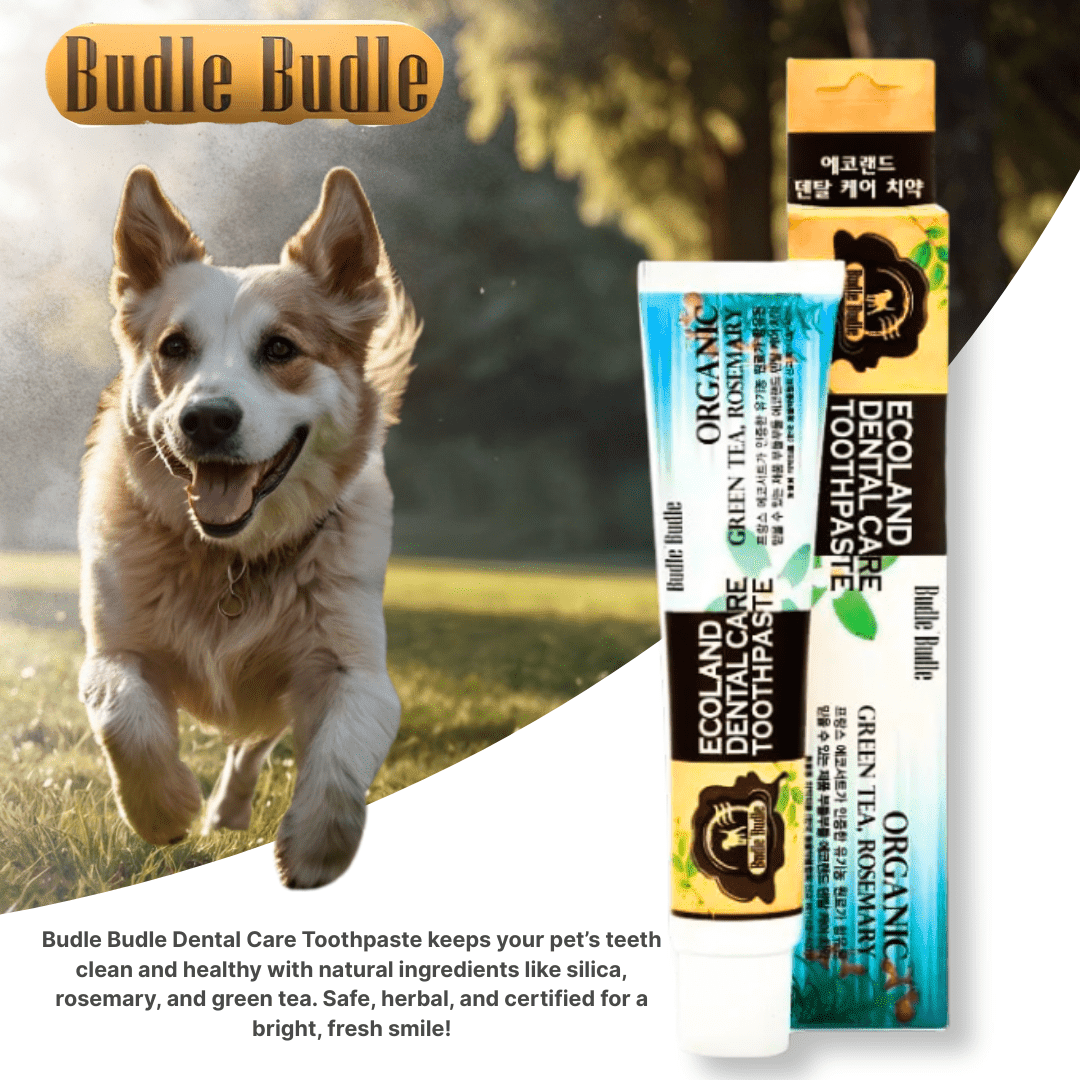 Budle Budle Dental Care Toothpaste for Dogs - Image 2