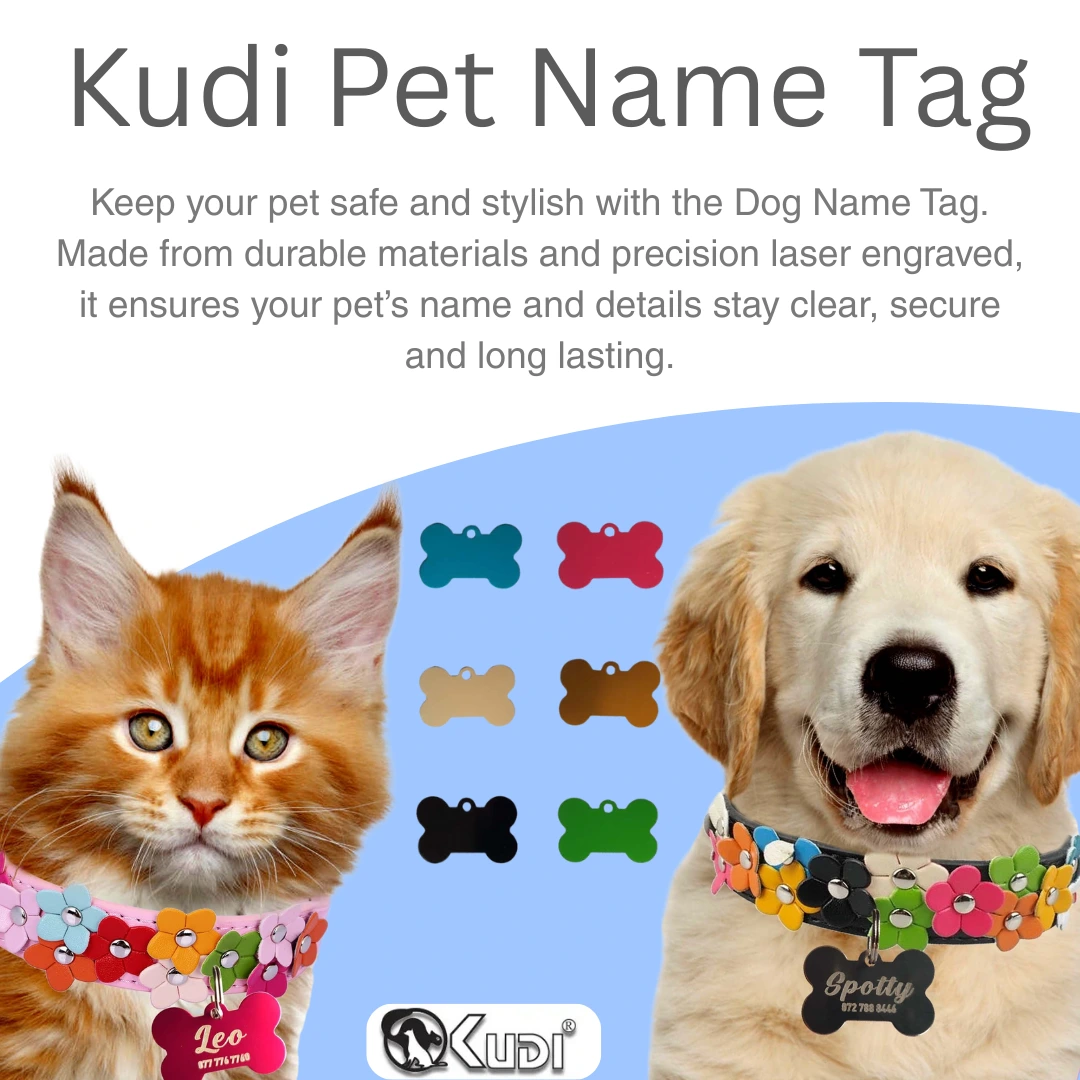 Kudi Pet Name Tag - Image 2